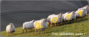 image piquée à Jean Hughes Brège car j'ai trop eu la flemme.